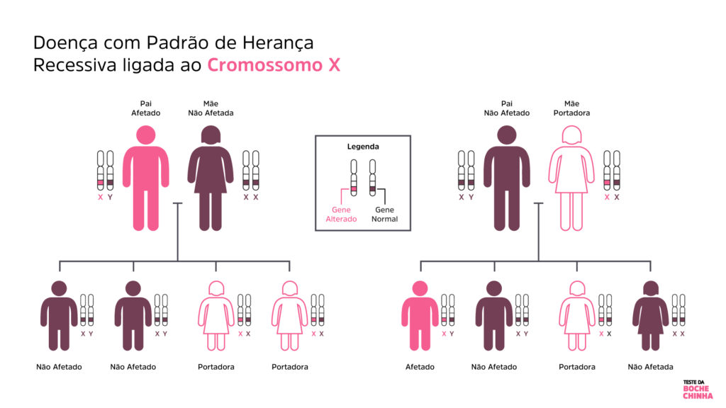 Padrão de Herança Recessiva - Cromossomo X