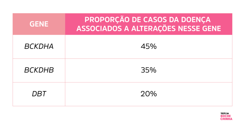 Tabela com os principais genes associados à Doença da Urina do Xarope de Bordo e a proporção de casos da doença associados a cada gene