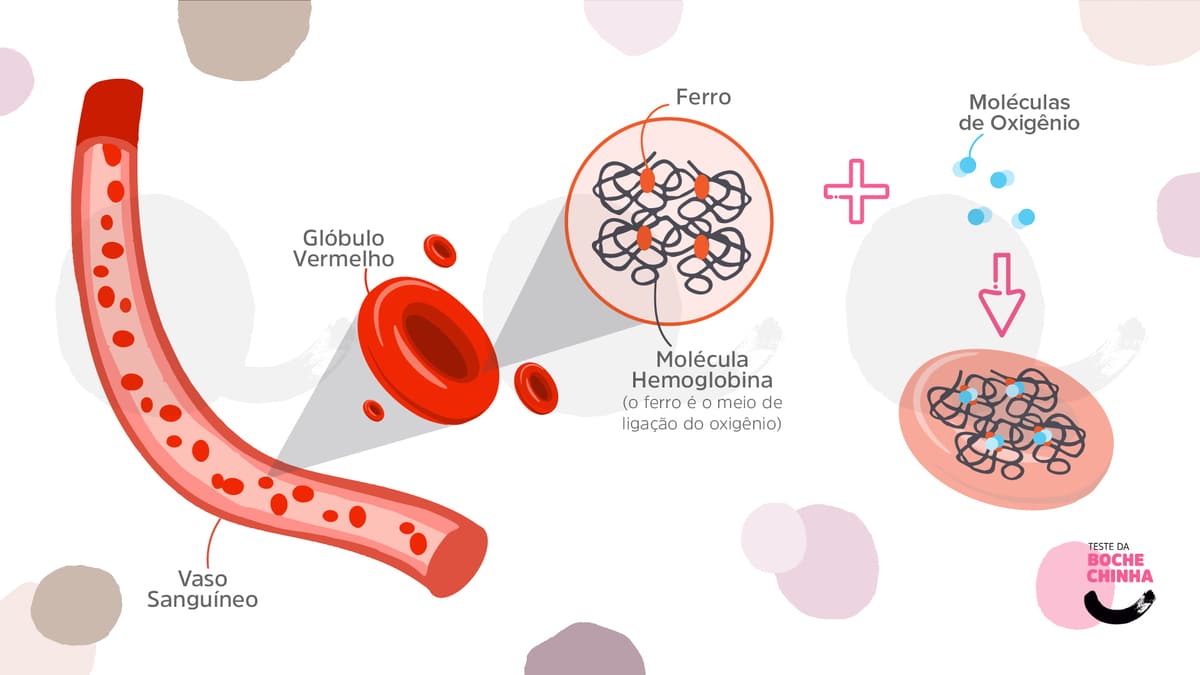 Vaso sanguíneo globulo vermelho molécula hemoglobina ferro ligação do oxigênio moléculas 