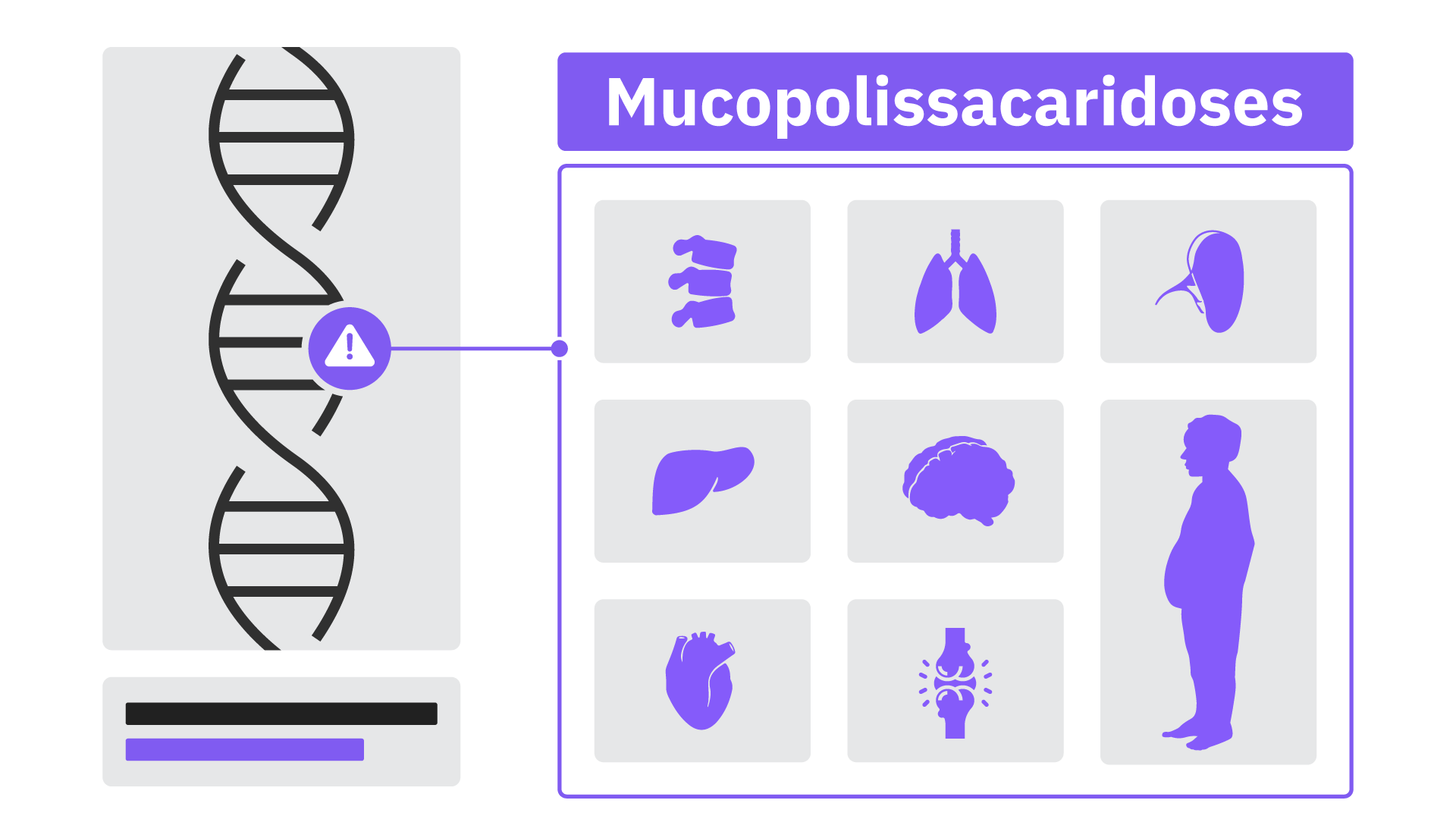 DNA e uma mutação. Representação de vários órgãos afetados pela mucopolissacaridose.