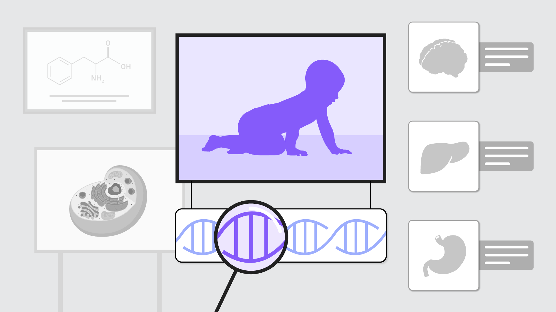 Silhueta de um bebê em destaque, com quadros representando DNA, célula, fígado, cérebro, estômago e moléculas ao redor.