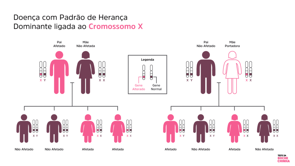 Heredograma representando um padrão de herança dominante liga ao cromossomo X