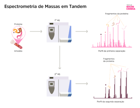 Figura 1. Esquema ilustrativo do funcionamento da espectrometria de massas em tandem na identificação e quantificação de uma proteína em amostra de sangue.