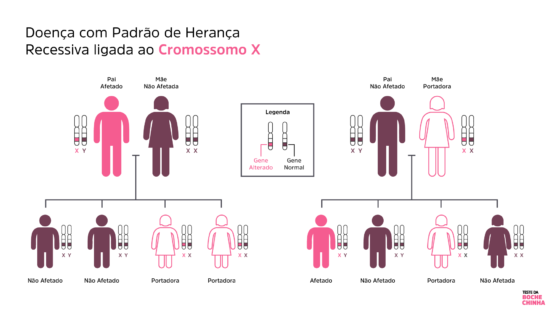 Padrão de Herança Recessiva - Cromossomo X da Hemofilia