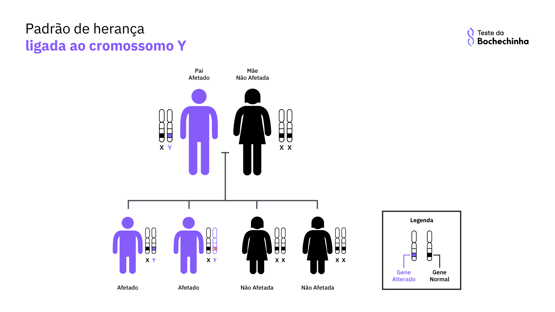heredograma doença ligada ao cromossomo y