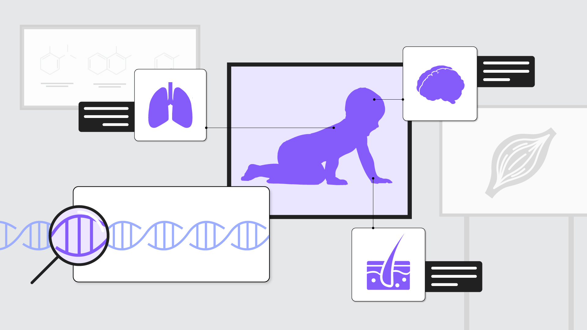 biotinidase-blog deficiencia de biotinidase