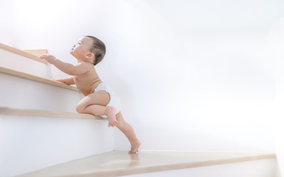 Triagem neonatal – Retrospectiva 2021