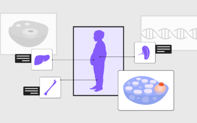 Doença de Gaucher: causa, tipos e tratamentos